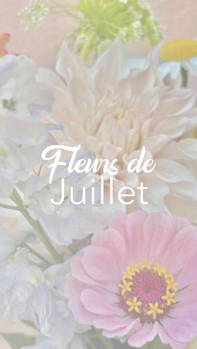 Fleurs de Juillet